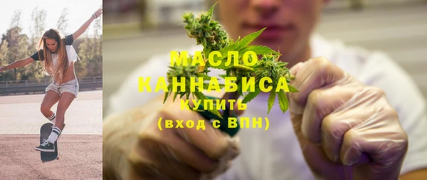 индика Михайлов