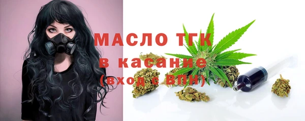 индика Михайлов