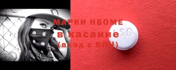 индика Михайлов
