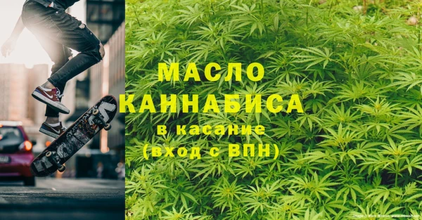 индика Михайлов