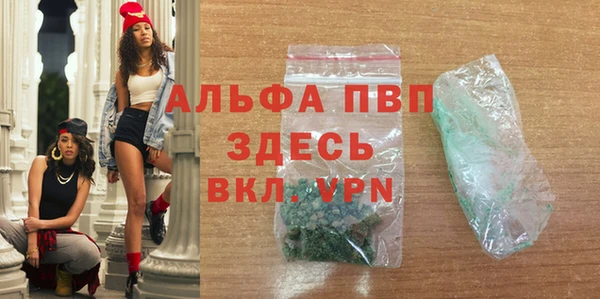 индика Михайлов