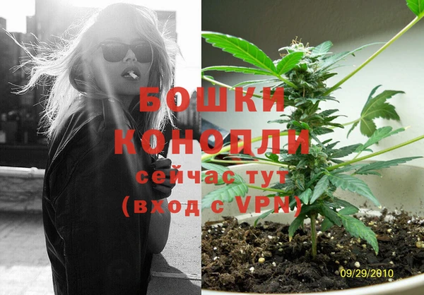 индика Михайлов