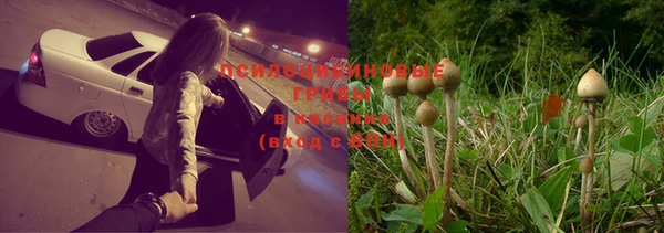 спайс Михайловка