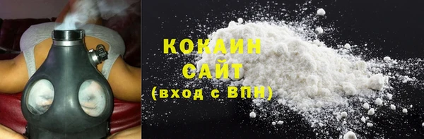 индика Михайлов