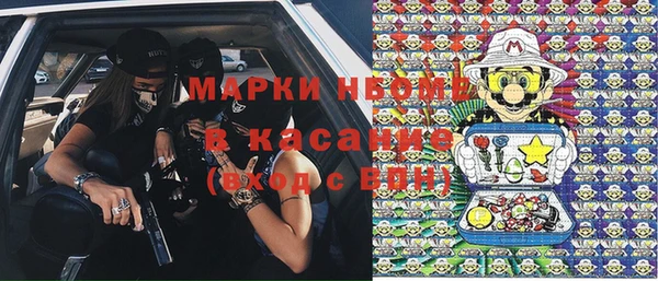 индика Михайлов
