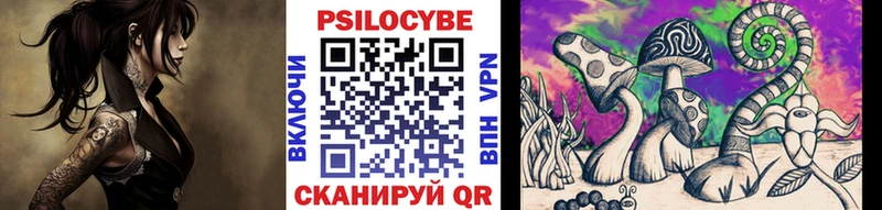 Псилоцибиновые грибы Cubensis  Новое Девяткино 